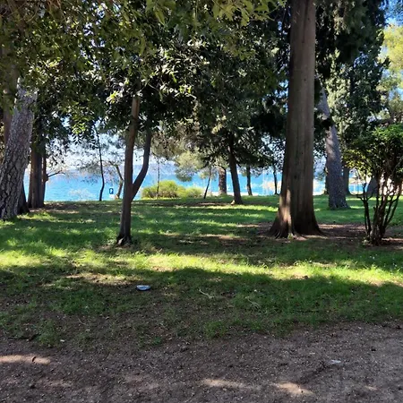 By Osibov Private For Families And Groups With Pool Δωμάτια σε οικογενειακή κατοικία Kaštela
